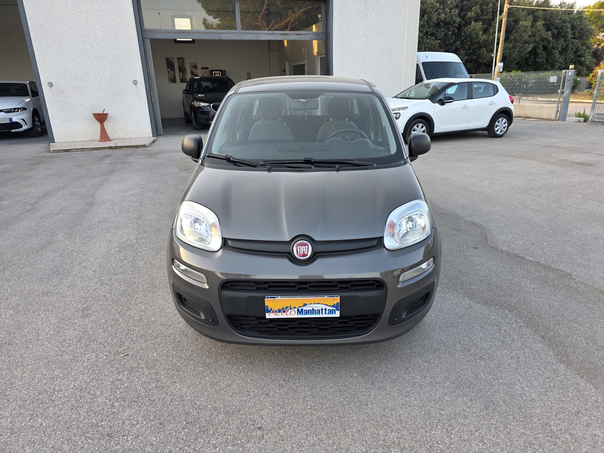 FIAT PANDA 1.0 BENZINA HYBRID 50.000KM